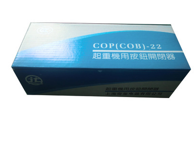 【ROMUON牌 COP-21R 220V 防雨型 起重機(jī)吊車按鈕開(kāi)關(guān)【不帶電容】】?jī)r(jià)格,廠家,圖片,電工開(kāi)關(guān),溫州奇璽電器科技-